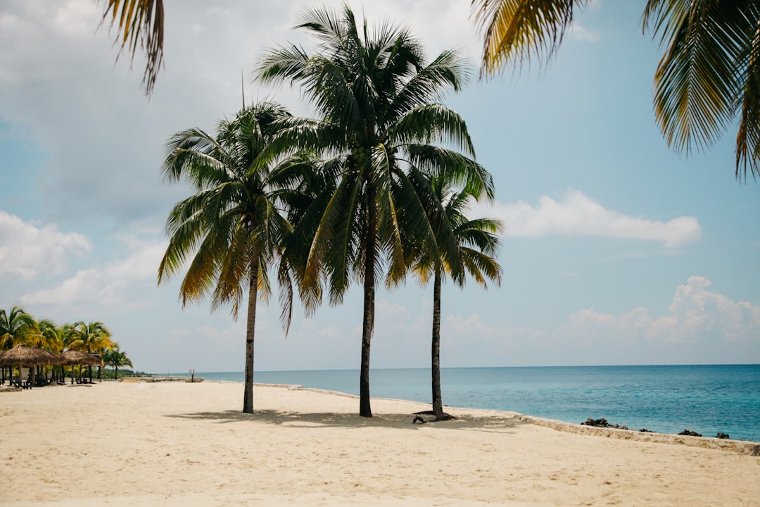 Photo Borat swimsuit: Beach, man